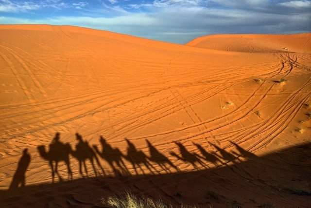 Day And Night Merzouga Camel Ride