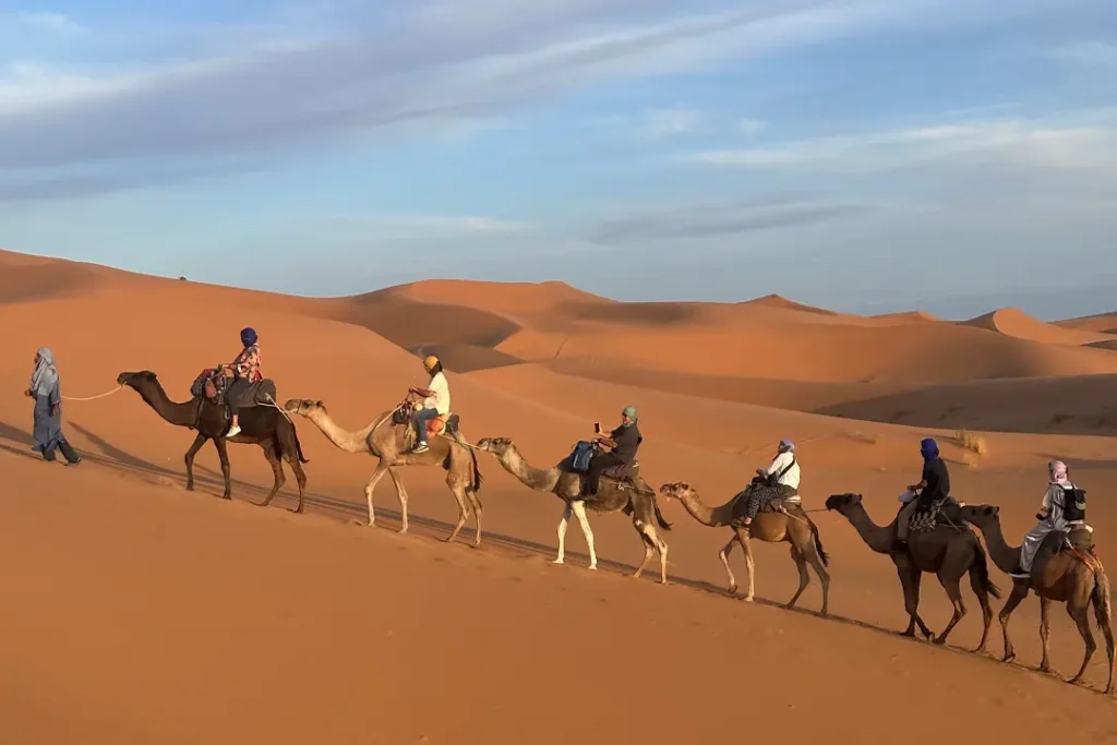 Day And Night Merzouga Camel Ride