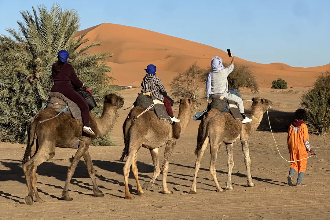 Merzouga Camel Trekking
