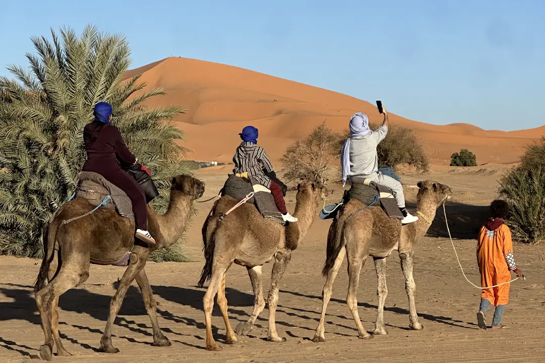 Paseo nocturno en dromedario en Merzouga
