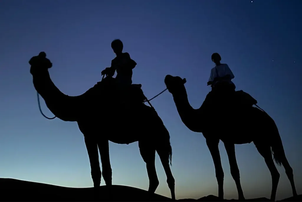 Sunset Merzouga Camel Ride