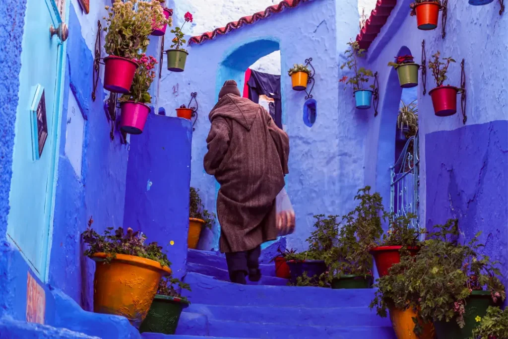 Excursión de un día a Chefchaouen desde Fez